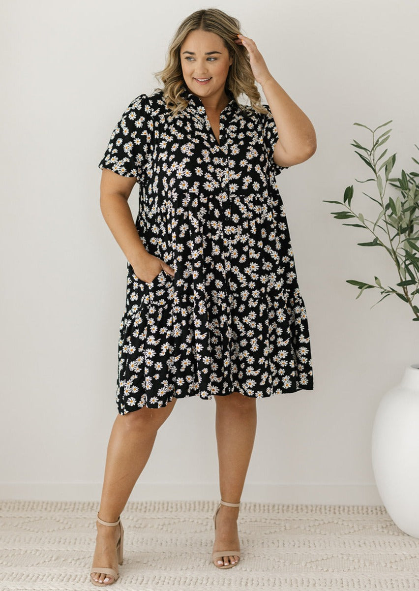womens plus-size daisy print knee-length dress